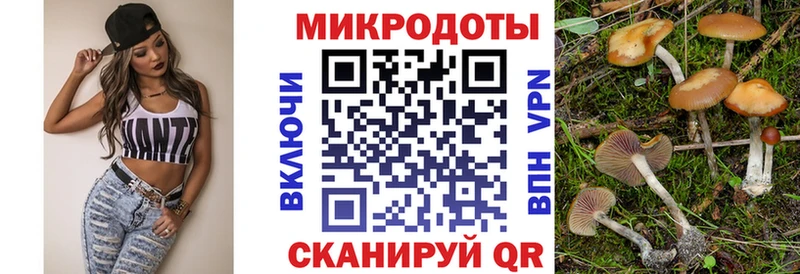 Галлюциногенные грибы Magic Shrooms  купить наркотики цена  Байкальск 